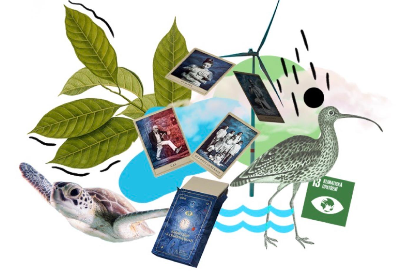 Hlasujte pro projekty bojující se změnou klimatu a vyhrajte osobní portrét od Jana Saudka