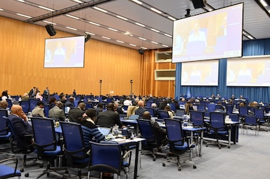 IWPG na konferenci UNTOC COP13 ve Vídni zdůraznila prevenci vedenou ženami