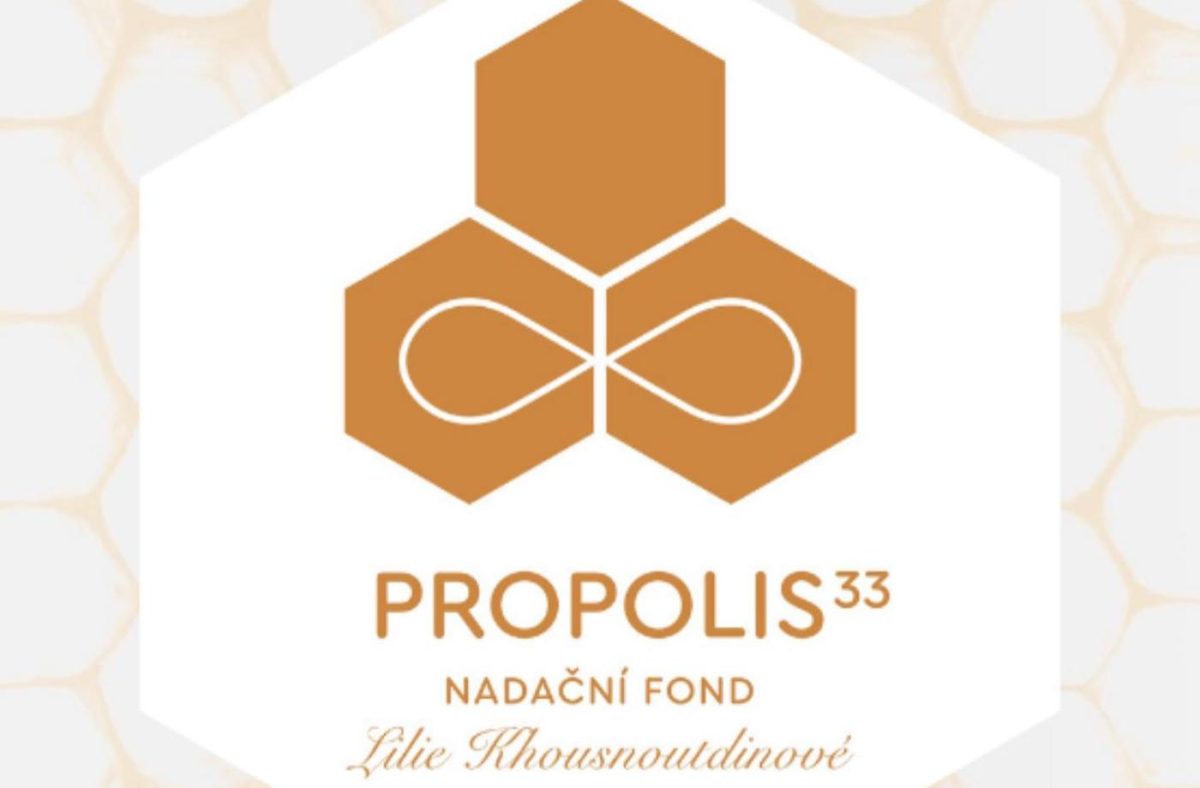 Nadační fond Propolis 33