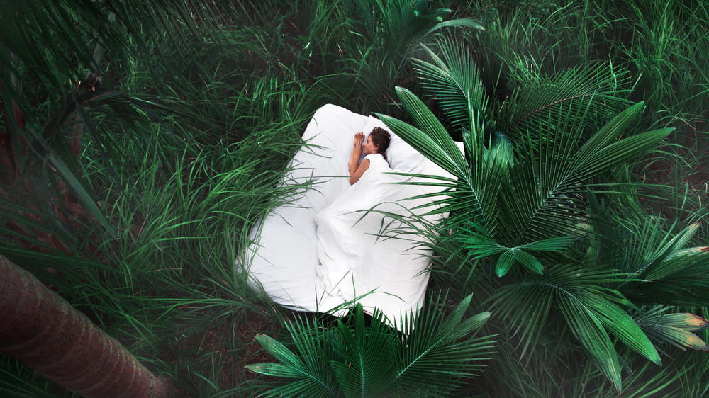 A,Hidden,Place.,Sleeping,Woman,In,Deep,Jungle,Forest,Lies