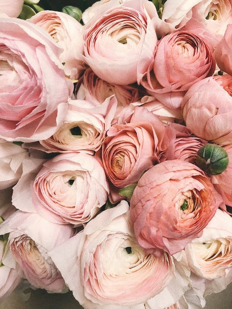 May,God,Makes,Your,Life,Beautiful,Like,The,Roses,And