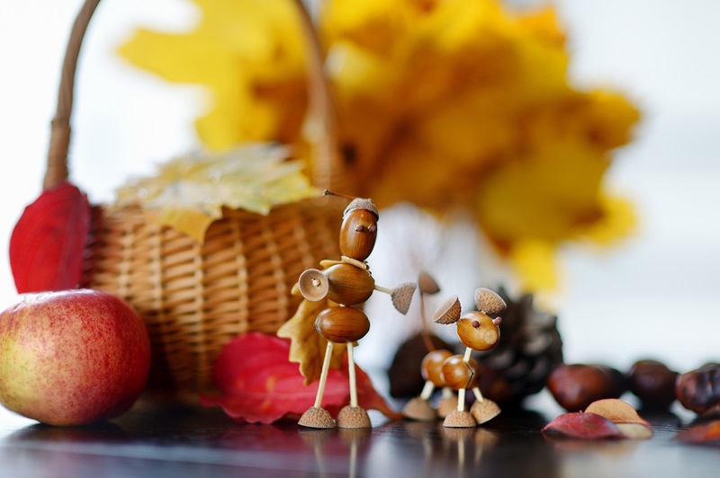Small,Creature,Made,Of,Chestnuts,And,Acorns