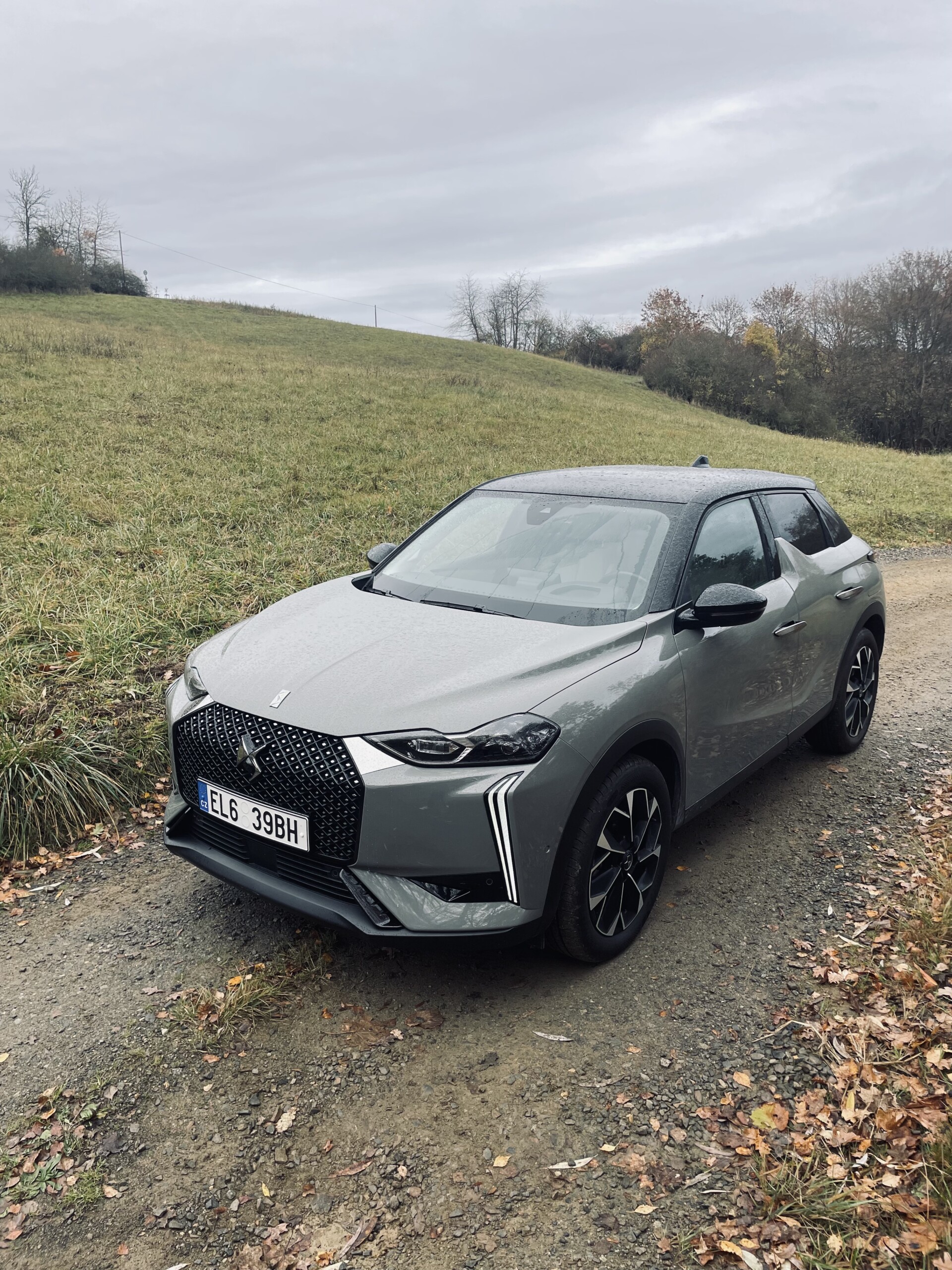 DS3_grey