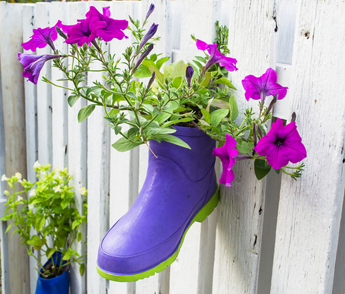 Flowers,In,Boots