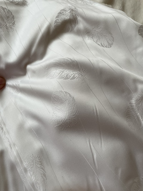 scanquilt5