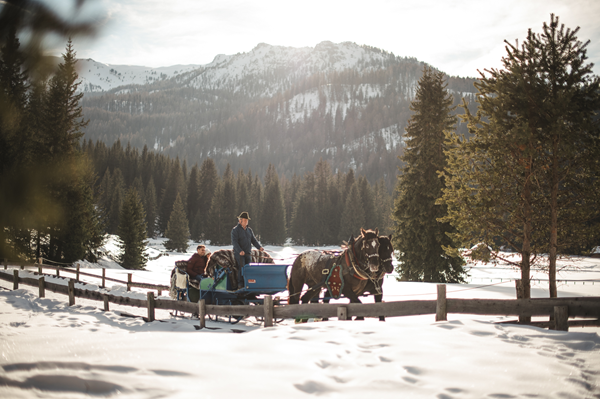 Alta Badia_Horse sledge ride_by Armin Terzer (19)